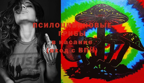 сатива Навашино