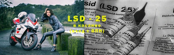 сатива Навашино