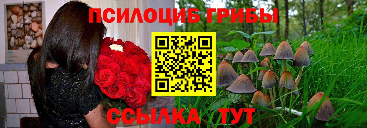 Галлюциногенные грибы Cubensis Краснокамск